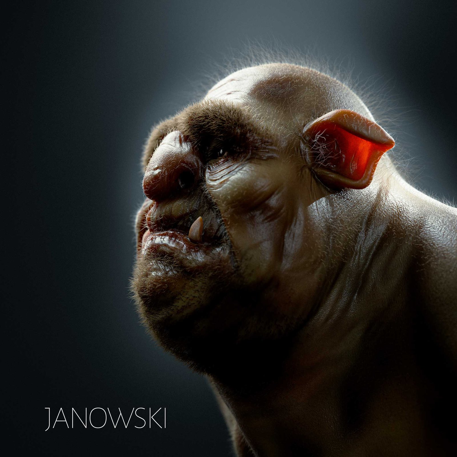 troll - 3d